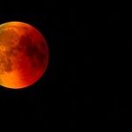 Hospitality Moon