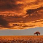 Parting Gift of the Taurus Sun