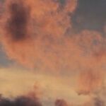 Fine Fresh Feelings of a New Lunar Cycle