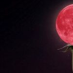 Super Red Moon