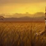 Leo Sun's Last Day