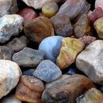 Earthy Mercury Trine