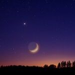 Venus Labors