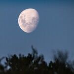Moon of Cautious Grouping