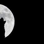 Transformation Moon