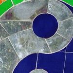 Venus Stresses the Attraction of Opposites