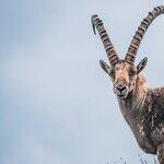 Power Plays of a Capricorn Moon