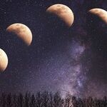 Moon's Mixed Bag