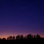 Wild Tales of a Venus Opposition