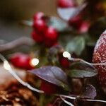 Capricorn Moon Holiday Bustle