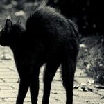 Blame Friday the 13th