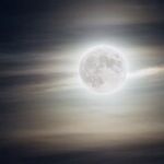 Clair de Lunar
