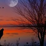 Countdown to Wolf Moon