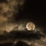 Lunar Longing
