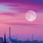 Industrious Moon