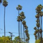 'How to Fail Epically in Hollywood' Author Q&A