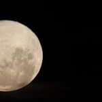New Moon, New You