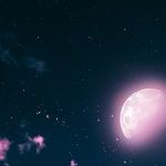 Song of the Pink Moon