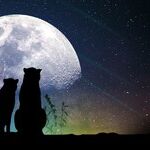 Planets Talk Love