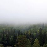 How to See Invisible Things