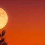 Capricorn Moon Tests a Theory
