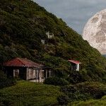 Psychic Lunar Tides