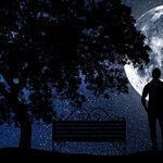 Dreams of the New Moon