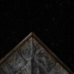 Triangle of Intuition