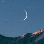 Karma Moon