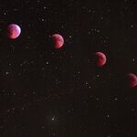 Two Lunar Trines