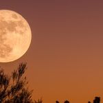 Planning for a Supermoon