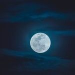 Blue Moon Pre-Show