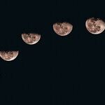 Prelude to a Blue Moon