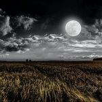 Moon of Immediacy