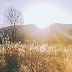 A Gutsy Scorpio Conjunction