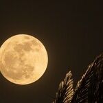 Countdown to the Full Moon