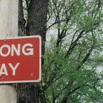 No Wrong Direction