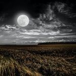 Reflections on a Libra Moon