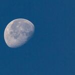 Venus Conjunction Alerts Taste Police