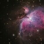 Connection and the Sagittarian Moon