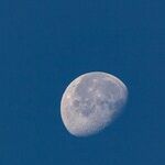 Incrementally Becoming