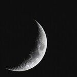 Moonchild Moon