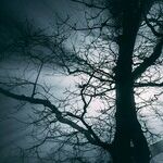 In the Light of the Sturgeon Moon