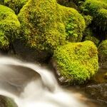 Earth Sign Trine Lends Luck for Starting Habits
