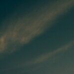 A Vengeful Solar Opposition