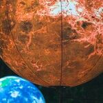 Venus and the Sting