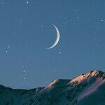 On Carl Sagan Day
