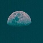 New Moon Flirts With Destiny