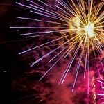 New Moon's Casual Read of New Year Omens