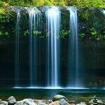 Water Sign Trine of Hope
